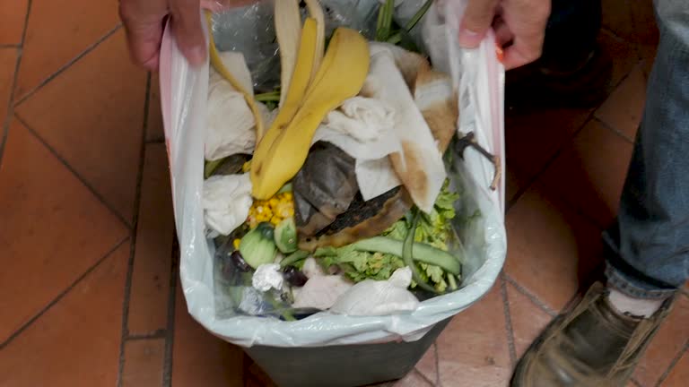 Best Hoarding Cleanup  in Kingsport, TN