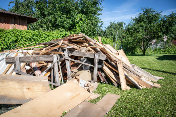 Shed Removal in Kingsport, TN