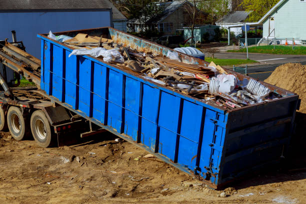 Best Shed Removal  in Kingsport, TN